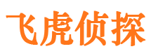 宜黄市出轨取证